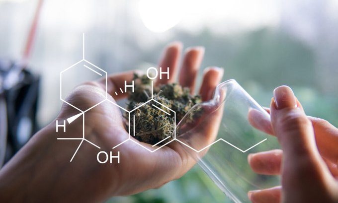 cannainvestors tweet picture