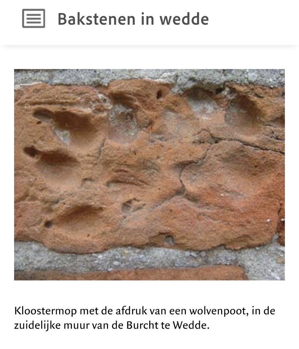 Ik wil al een tijdje naar de <a href="/burchtwedde/">Burcht Wedde</a> en zie net deze wolvenpoot in baksteen. Hoe cool is dat 😍