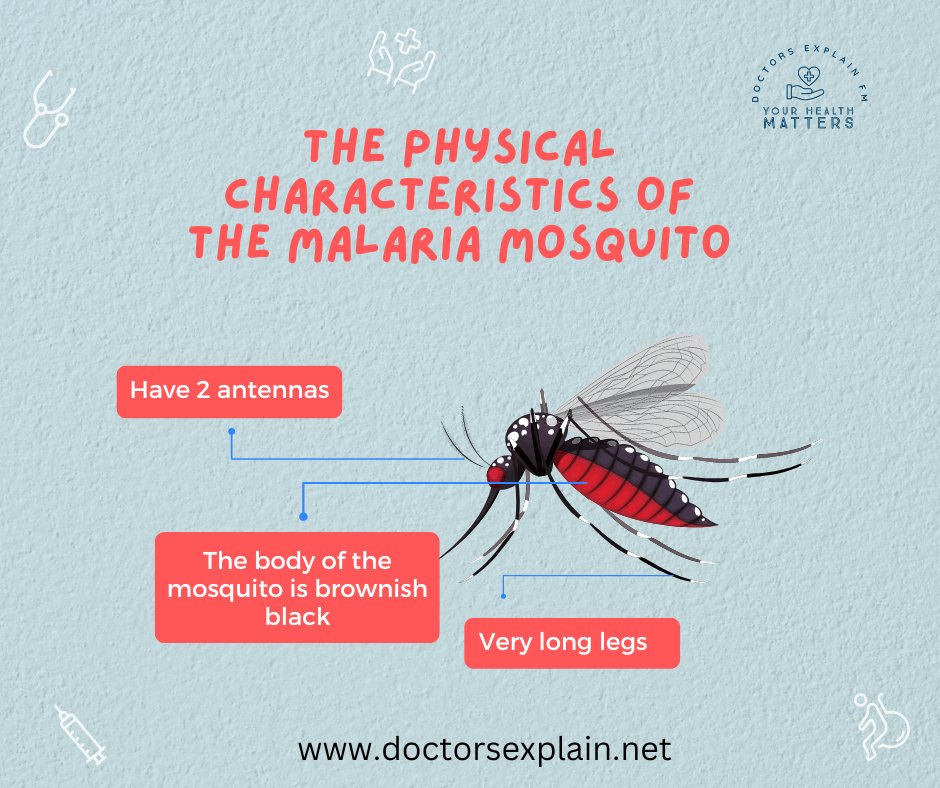 DocsExplainFM's tweet photo. Prevention
☑take the antimalarial medicine you're prescribed – you usually need to start taking it a few days or weeks before you go, until a few weeks after you get back.
☑use insect repellent on your skin
☑sleep under mosquito nets treated with insecticide.
#malaria https://t.co/ldWJIQtZGF