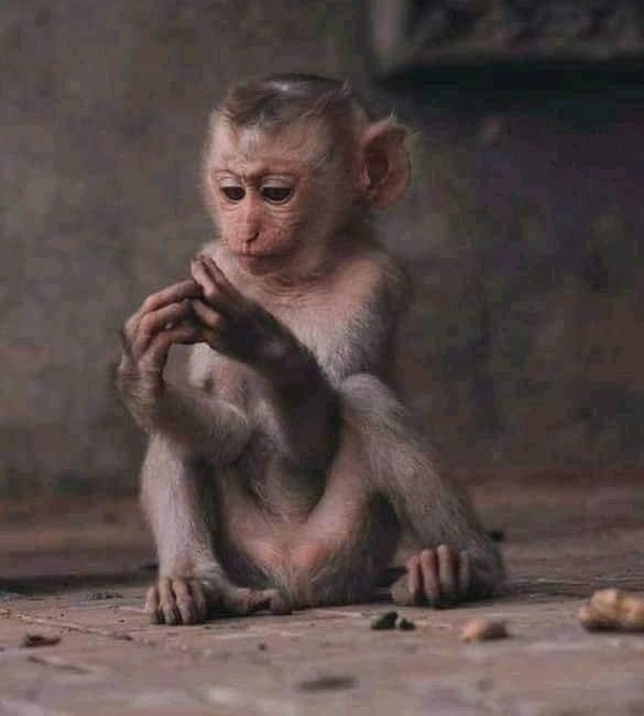 ScriptWriter01's tweet image. Boys, kuno ku Beitbridge kwapisa..Shiri dzese dzikuenda kunotandara kuMesina dzozodzoka deep number