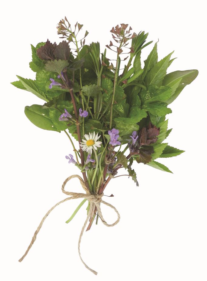 MerlinUnwin's tweet photo. More than a #recipebook or #foragingguide. Authors of best-seller @HedgerowMed share 90 exciting recipes with weeds, showing why they're delicious, nutritious, medicinal – and free! Cakes, soups, fritters, currys, drinks from nettles, dandelions, groundivy, hogweed @WoodbineBooks https://t.co/meq29Y4pNi