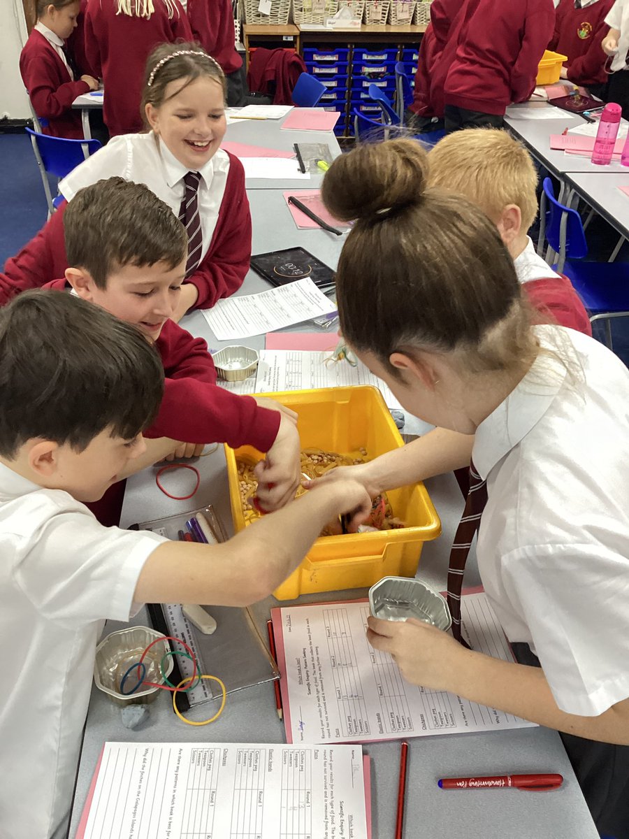 StMattsLL's tweet photo. Pattern seeking in Science to see which beak is best! Exploring Charles Darwin’s discoveries about finches on the Galápagos Islands. #patternseeking #primaryscience #year6 https://t.co/3QBePL3rVj