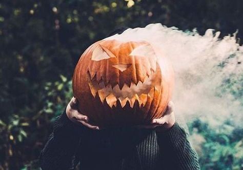 SauvonsRoubaix's tweet photo. Bin, pour #Halloween, je préconise de se déguiser en députés ou ministres votant le budget... Le 49.3 étant plus effrayant que le "666" et les motions de censure plus terrifiantes qu'un crucifix pour les vampires 🎃🧛😱😈 !!! #BorneToBeWild https://t.co/CcZBiaoPNL