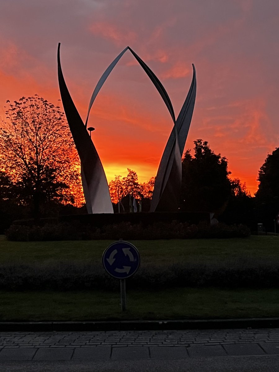 Inge Nijhoff tweet media