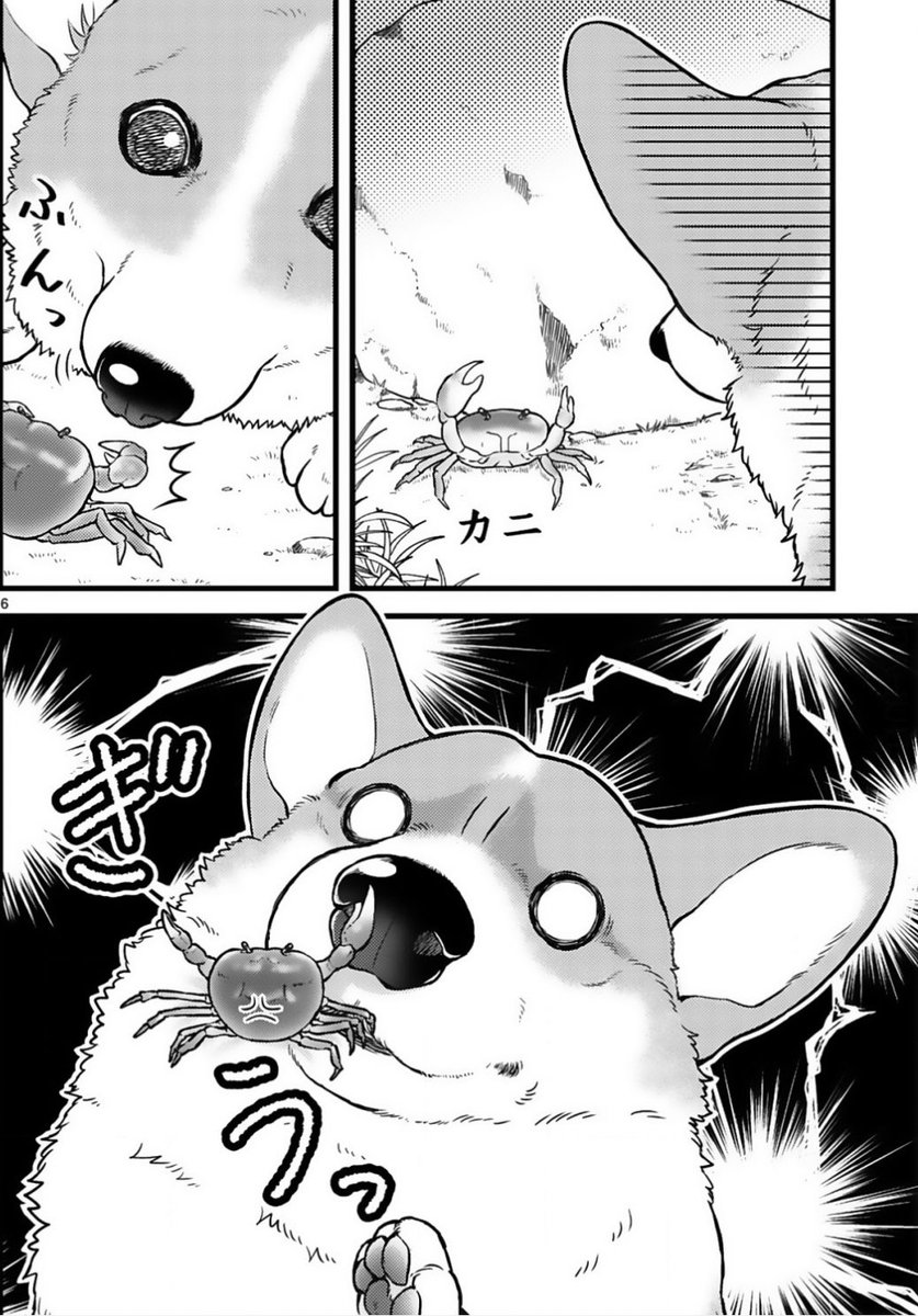 ✨最新話更新✨  コワモテな殿とゴキゲンな犬の 天下泰平🍵主従暮らし🐶  『殿と犬』西田理英 https://comic-polaris.jp/ptdata/tonotoinu/0015/  今日は主従で川に来た🐶✨ 🦀🦀🦀に気をつけてー! 今回は少しヒンヤリなお話です  👇単行本も発売中 https://www.amazon.co.jp/gp/product/4866752408?ie=UTF8&tag=comicbloodjp-22  👇試し読み👇 