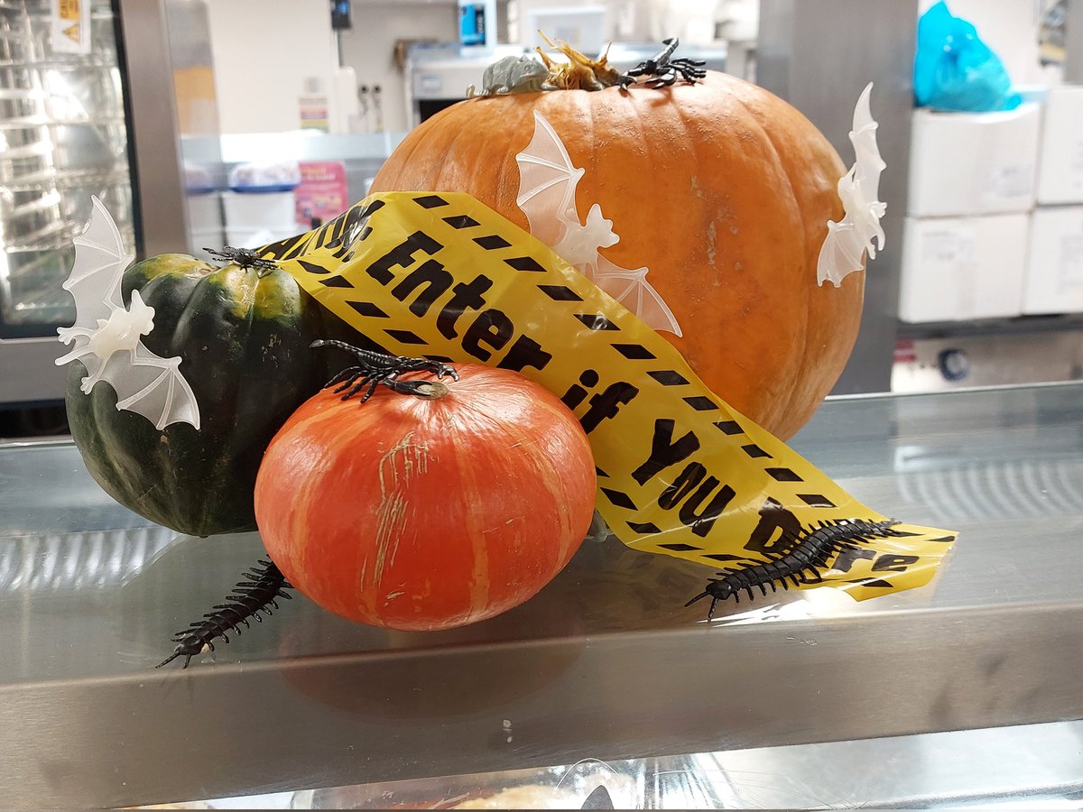 JackHuntElior's tweet photo. Haaaappppy Haaallllooooweeenn!
👻🎃👻🎃👻🎃👻🎃👻🎃👻🎃
#Spooky
@JackHuntSchool @clairefb12 @Elior_Group https://t.co/nNHxVOv9Iz