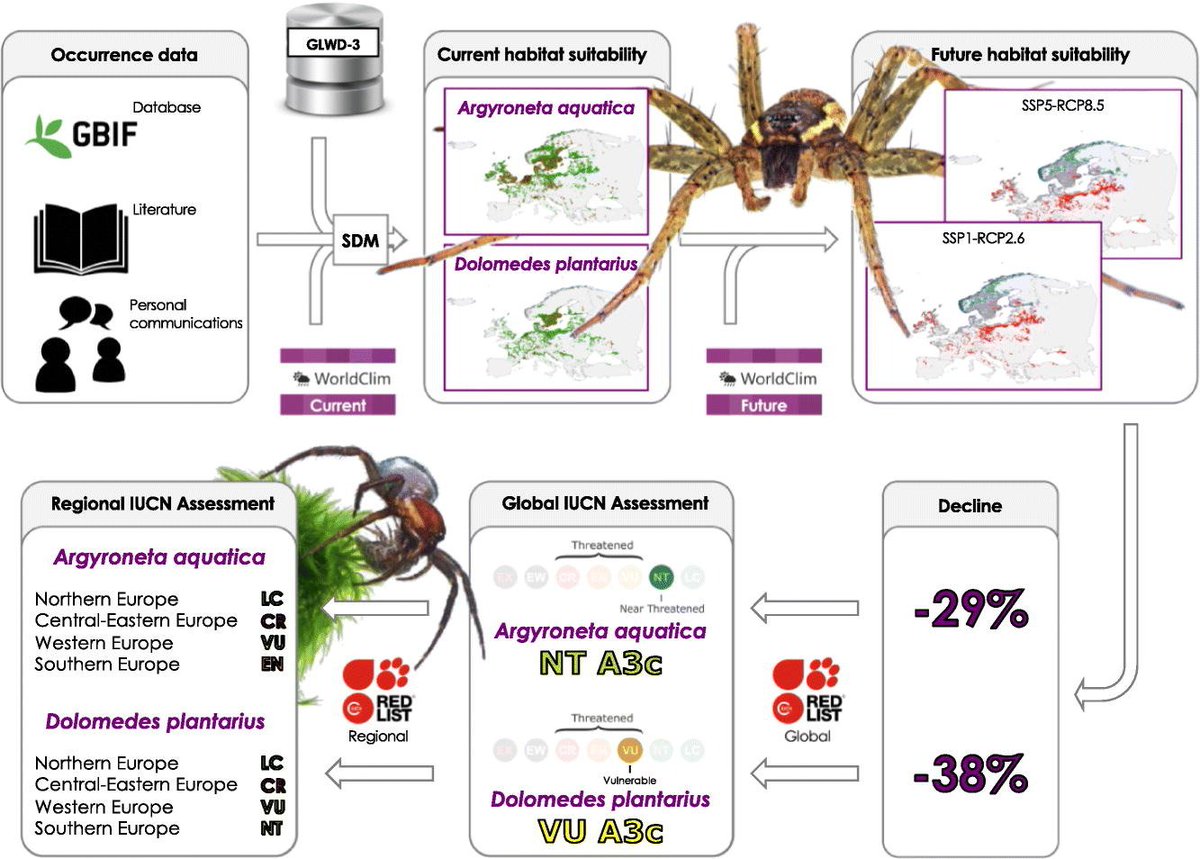 Pedro Cardoso cardosopmb.bsky.social tweet media