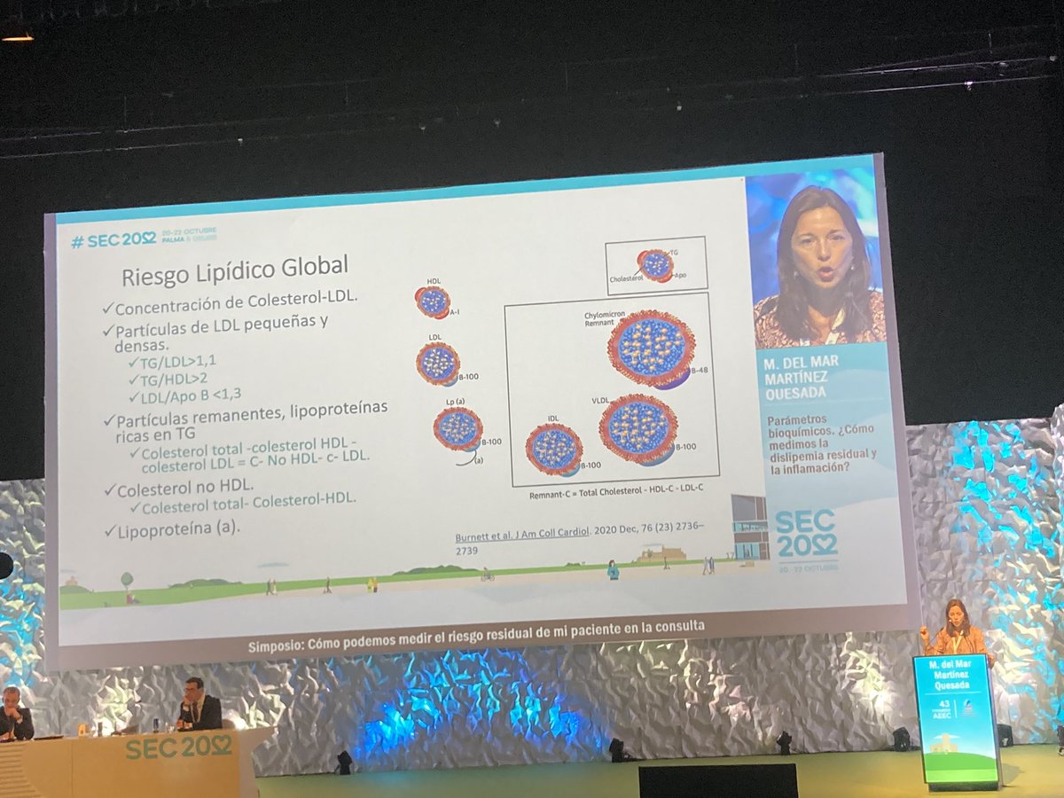 SantasEnrique's tweet image. Cómo evaluar el riesgo lipídico global en la consulta? Excelente resumen de @marquesada en #SEC22 @riesgo_SEC #riesgoresidual 

👉 LDL-C
👉 LDL pequeñas y densas (p ej TG/HDL&amp;gt;2)
👉 Remanentes (Ct-LDL-HDL&amp;gt;30 mg/dl)
👉Ct no-HDL (ApoB)
👉Lp(a)