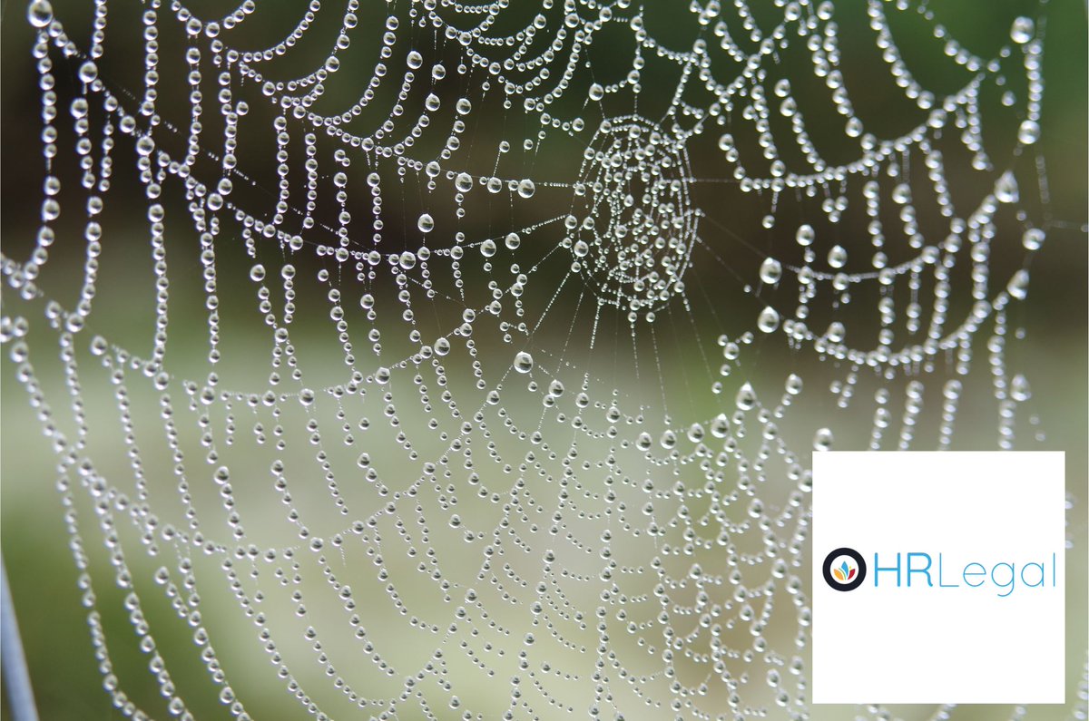 HRLegalIreland's tweet photo. Networks can be damaged during hectic seasons. 

@HRLegalIreland  can provide you with advice on how to strengthen and utilise your network when finding new hires. Visit https://t.co/tG4t1fe46E today.

#stormarmand #heavyrain #hradvice https://t.co/mFVSKWfpBB
