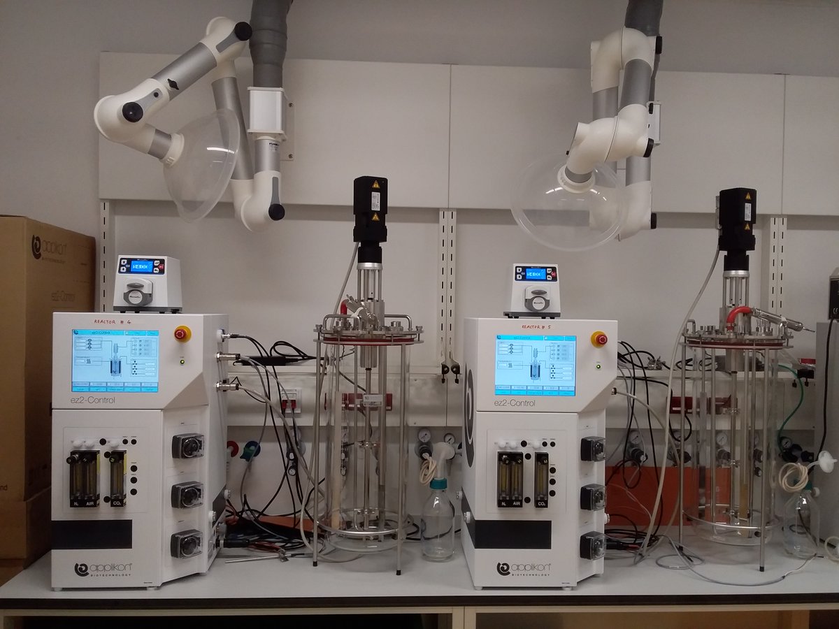 MichiWagner4's tweet photo. Excited to see our new bioreactors for mass cultivation and physiological experiments of #nitrifiers  #NitrificationRocks #Comammox #AOA #AOB
@DOME_Vienna https://t.co/0gp4SHDip3