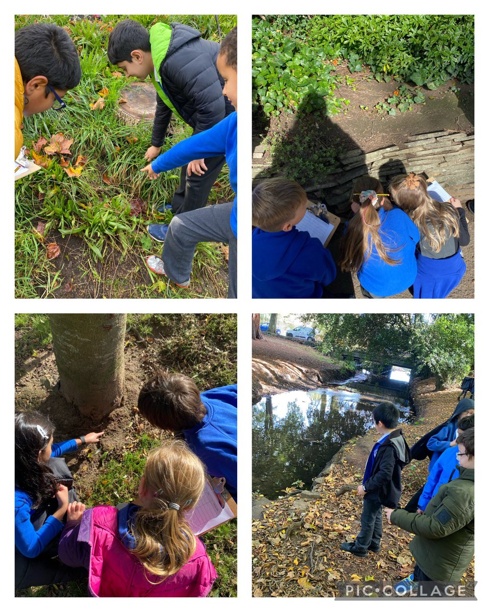 _missP_123's tweet photo. Y4 enjoyed finding out what vertebrates and invertebrates we have in our local environment on Tuesday #roathst #outdoorlearning @roathparkprm 🐿🐞🐝🕷 https://t.co/eGaCrlQ9VU