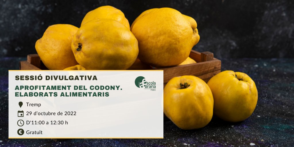 eapallars's tweet photo. El 29 d'octubre estarem a la Fira del #Codony de #Tremp, l'única en el món🌍dedicada a aquest fruit.
Coneixerem les elaboracions culinàries possibles, a banda de l'#allioli de codony i #codonyat, per tal de potenciar-ne el seu ús i consum.
https://t.co/vTHmmqczGv #EAPallars https://t.co/KO3r5rjYmJ