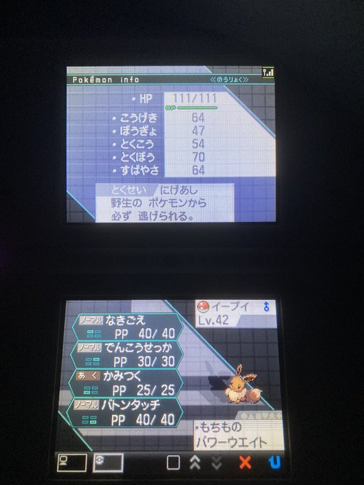 ポケットモンスターブラック2 ホワイト2 まとめ 評価などを1日ごとに紹介 ついラン