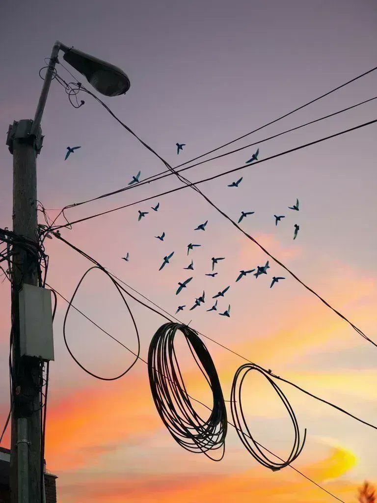 fubiz's tweet photo. Surreal Street Moments https://t.co/9Ln2Btg7hJ https://t.co/X4IXTZItiJ https://t.co/BNmzy96dNn