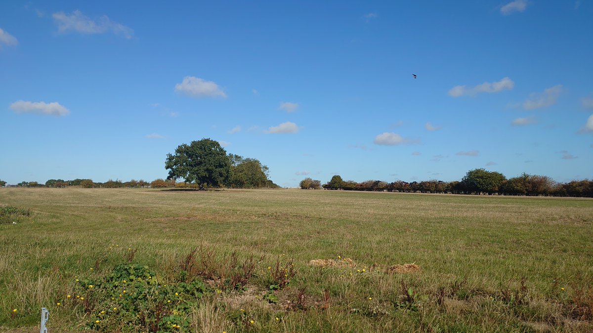 Franklins Farm Shop tweet media