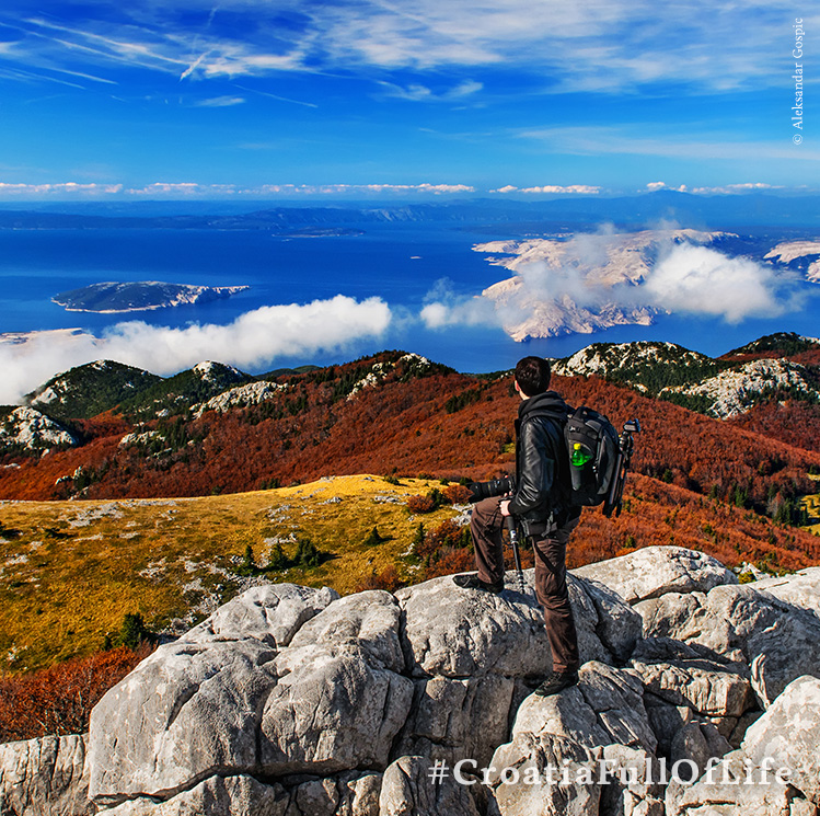 CROATIABasket's tweet photo. During autumn, nature pulls out only the most beautiful trump cards from its magic hat.
Experience Croatian national parks and nature parks in a costume woven in a thousand shades of autumn. 🍁🍂
#FALLingForCroatia
#BestFallCroatiaBucketList
#CroatiaFullOfLife https://t.co/8PRz2jvM8v