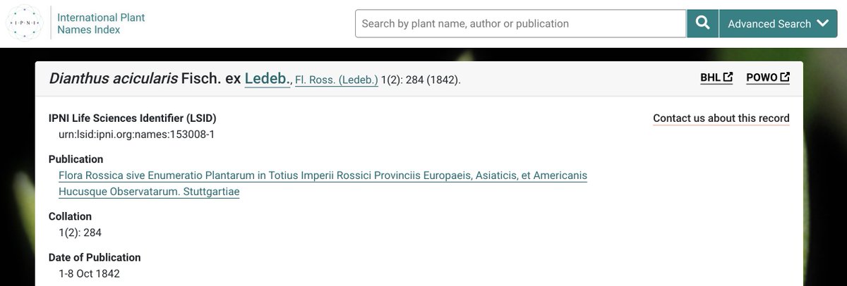 Although, it's great to see <a href="/IPNI_UK/">IPNI UK</a> links to this species' original description (1852) on <a href="/BioDivLibrary/">BHL</a>: biodiversitylibrary.org/page/42361534