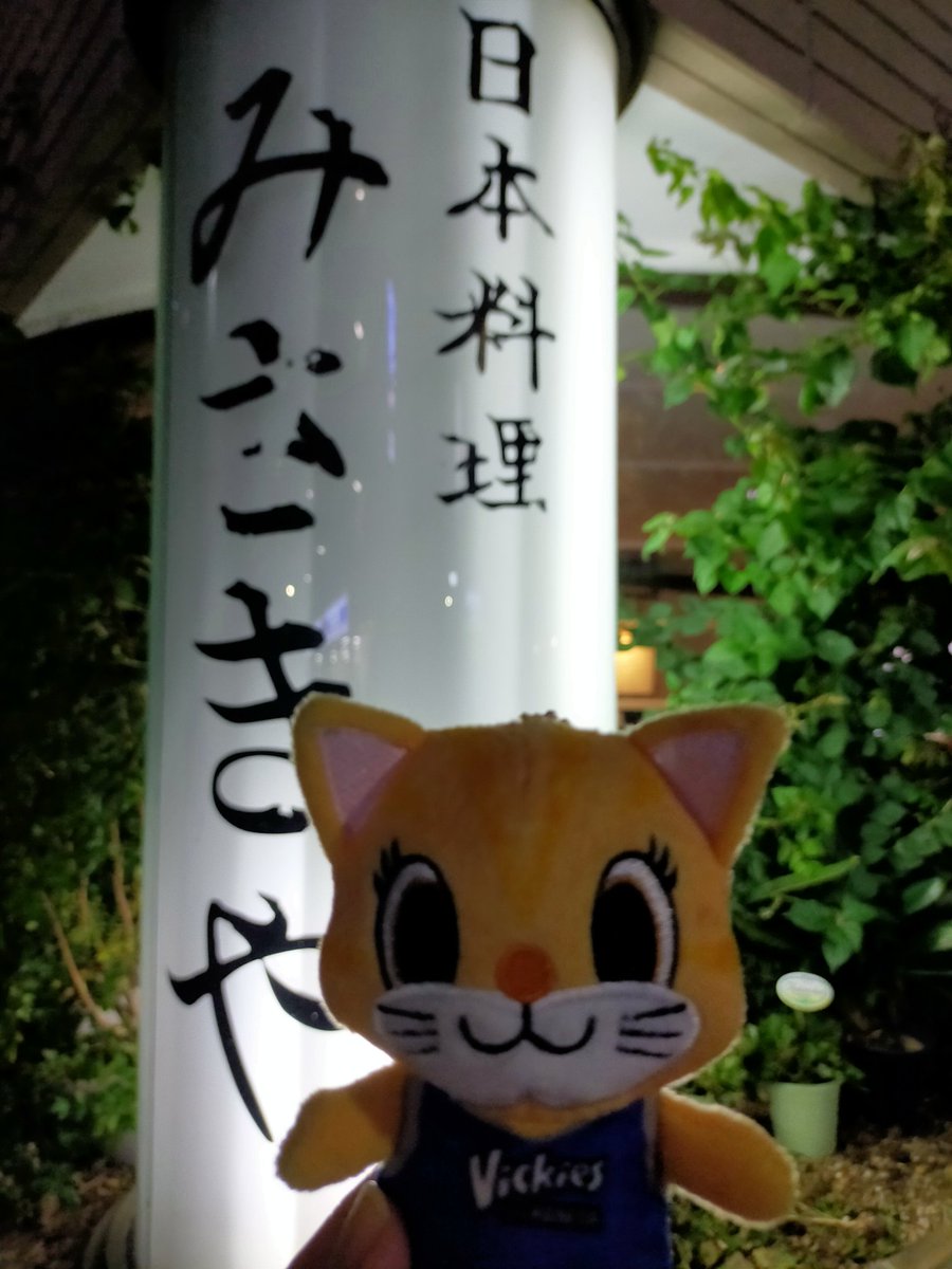 pupunao11coco's tweet photo. お久しぶりぶりな
『日本料理みさきや』さん
コロナ前はヴィッキーズの選手達が和気あいあい夕食を食べてました🤗パワーの源❣️
やっぱり落ち着く故郷に帰ってきたみたい😢思い出が沢山あるお店。
#みさきや　#穴守稲荷　#羽田
#ヴィッキーちゃん
#東京羽田ヴィッキーズ https://t.co/XubETZtDeW