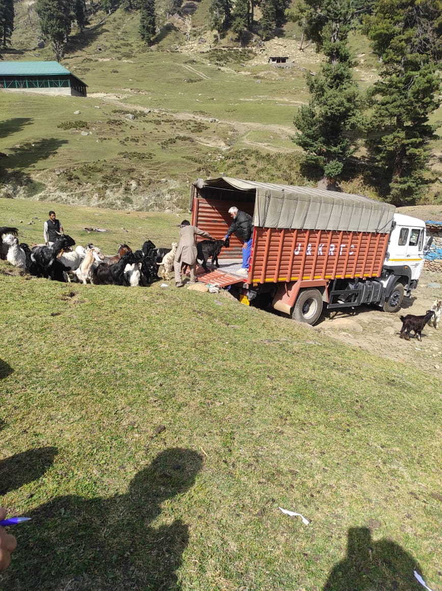 Information & PR, Shopian tweet media