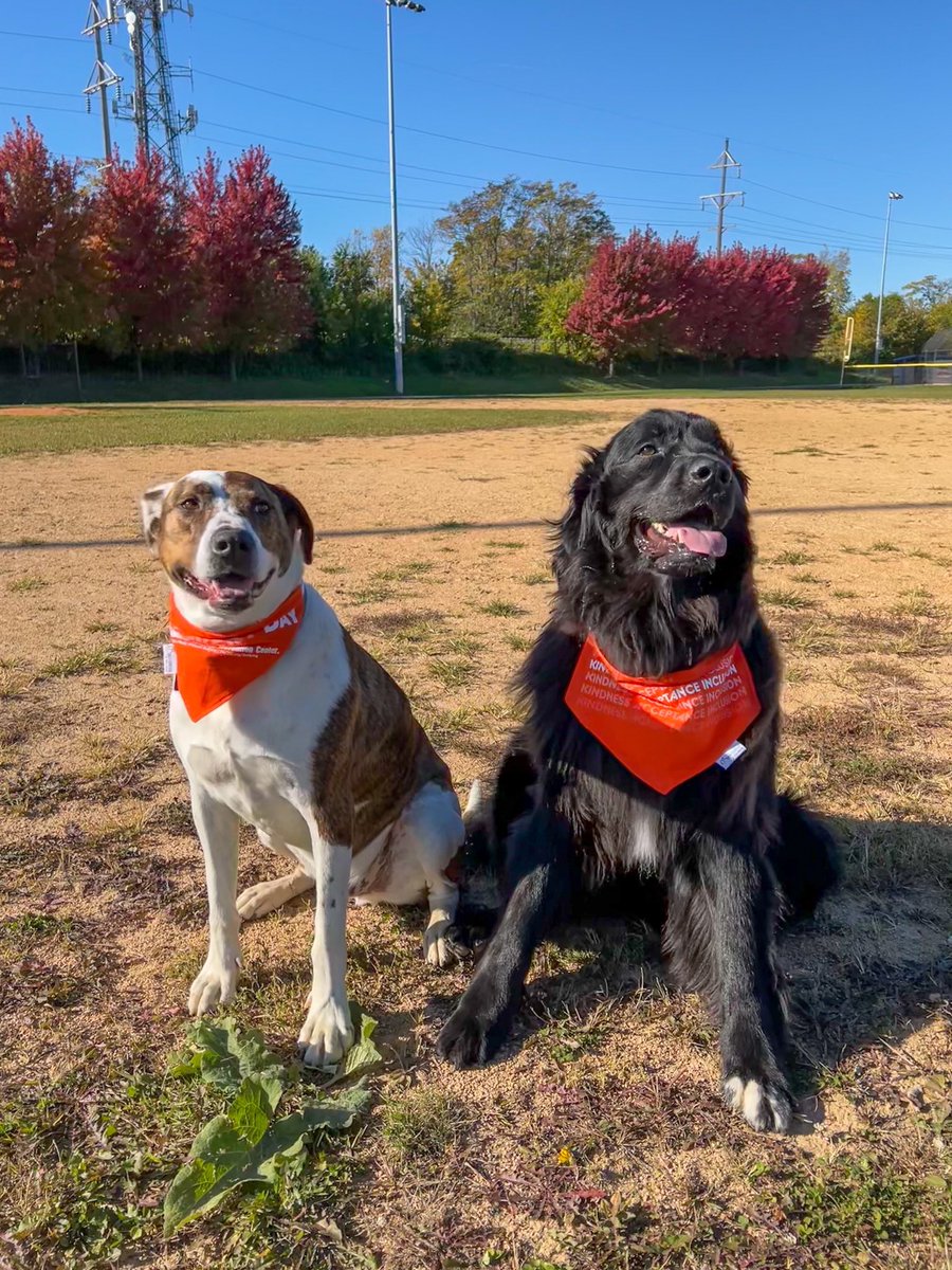 Beth Iverson tweet media