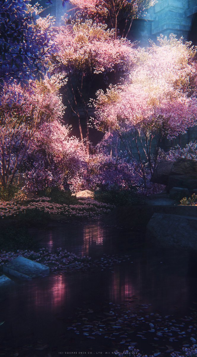 seth_ff14_'s tweet photo. #FF14風景 https://t.co/vpP43Reyx3