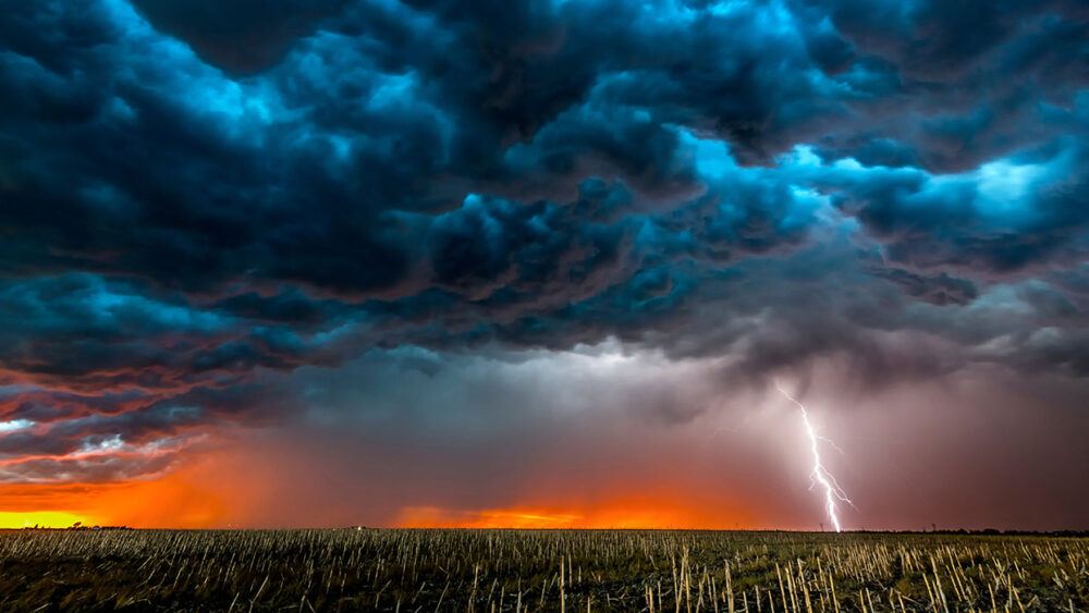 PMCLogic's tweet image. How body shops are being paid is changing. Currently over 35% of body shops now use some kind of invoicing. That statistics is rising rapidly, so let&apos;s work together to get it to 100%.

conta.cc/3eMH1tm