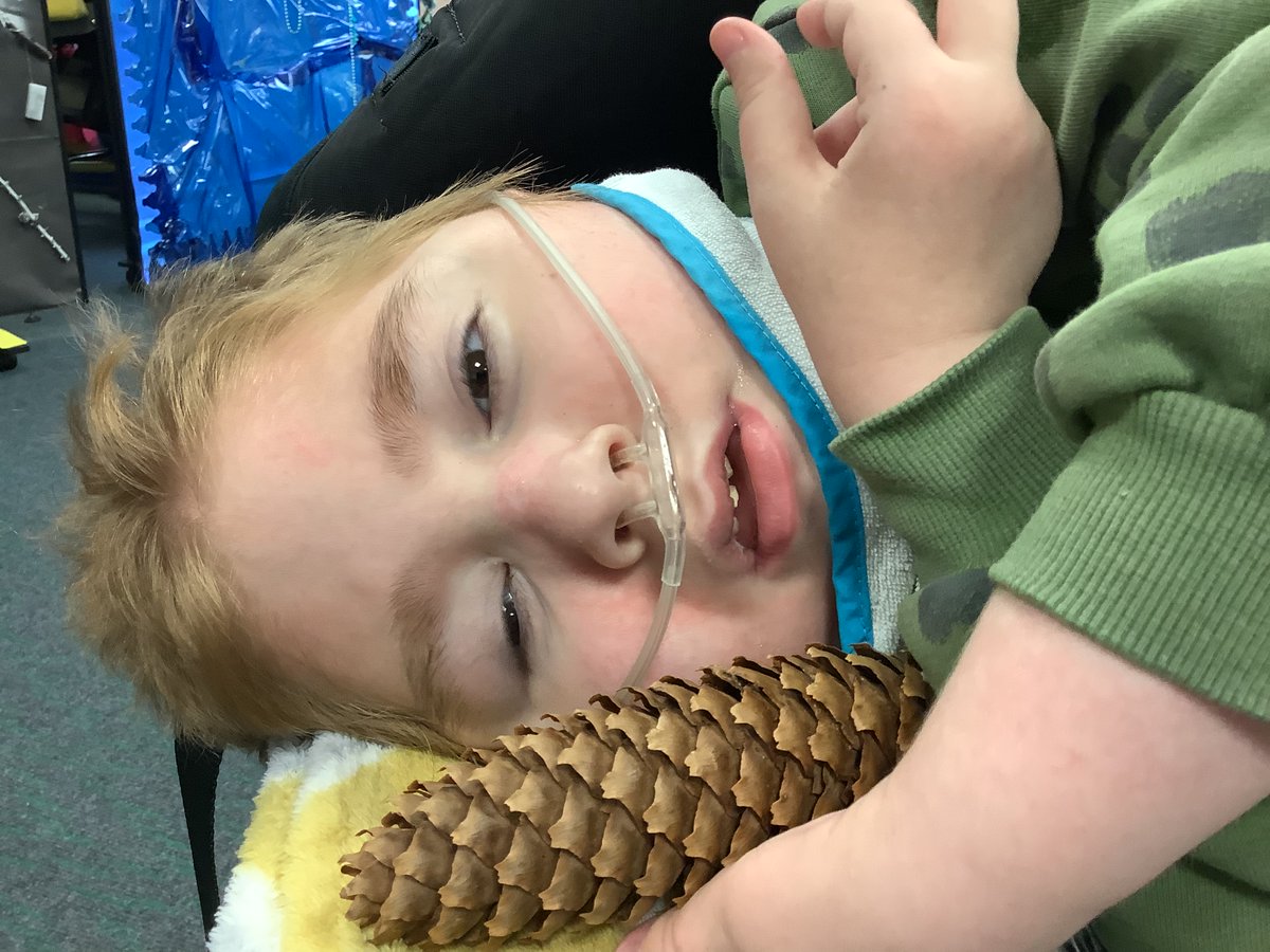 Springhead School tweet media