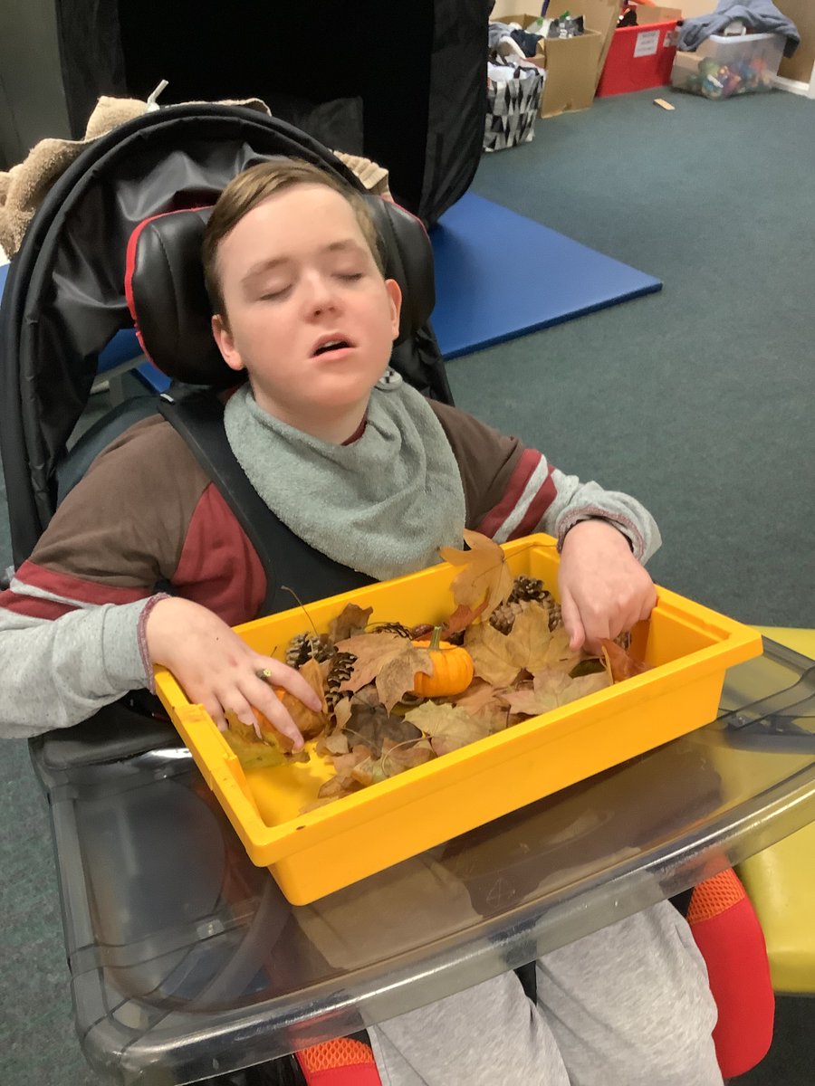 Springhead School tweet media