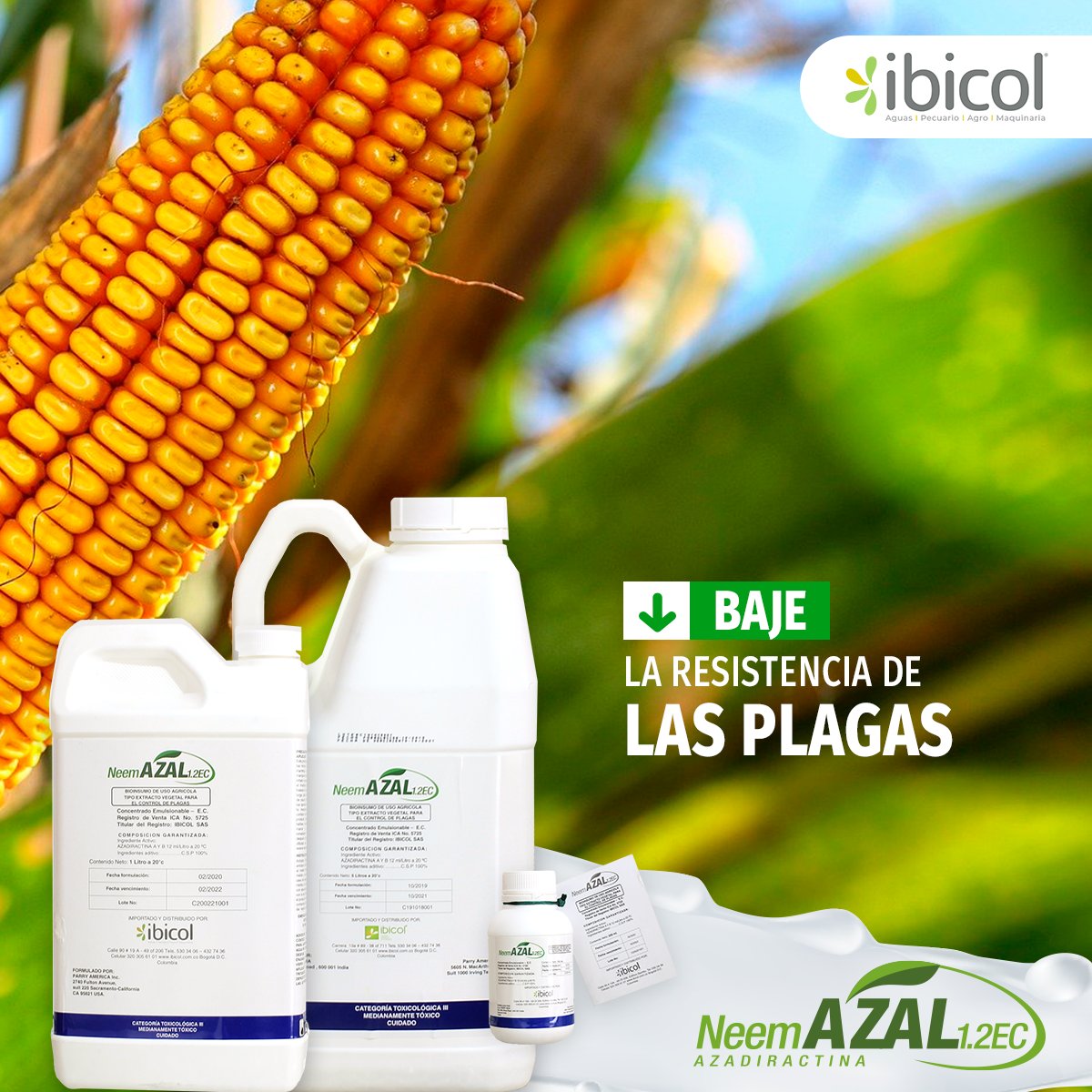insumosibicol's tweet photo. Es un insecticida, nematicida y acaricida botánico eficaz contra amplio espectro de plagas como Ácaros, Trips, Mosca Blanca, Minadores, entre otros.
#Ibicol #Neemazal #Insecticida #Nematicida #Acaricida #bajelaresistencia #plagas #ácaros #trips #moscablanca #minadores https://t.co/f9CyJysu9y