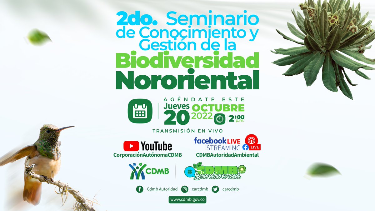 CARCDMB's tweet photo. ¿Ya estás agendado❓
¡HOY! Conéctate a nuestro Facebook Live (CDMB Autoridad Ambiental) para que conozcas los detalles del 2do. Seminario de Conocimiento y Gestión de la Biodiversidad Nororiental. 👉🏼 Hablaremos de conservación, uso y manejo de la riqueza natural.
#CDMBiodiversa https://t.co/vEBGSZPWpR