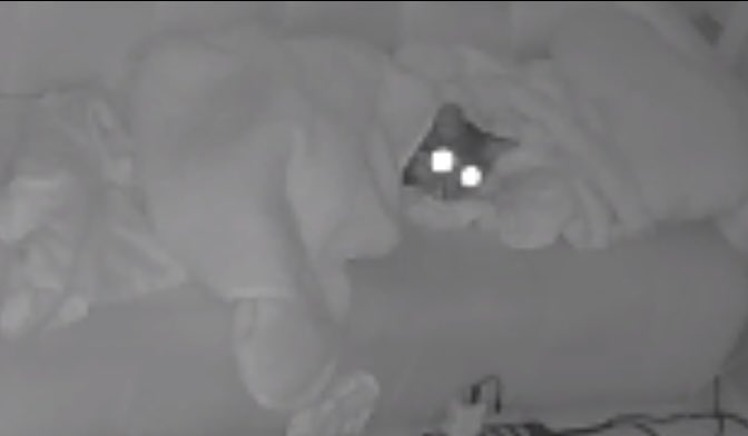 自分でお布団かけている！早く帰らねば！