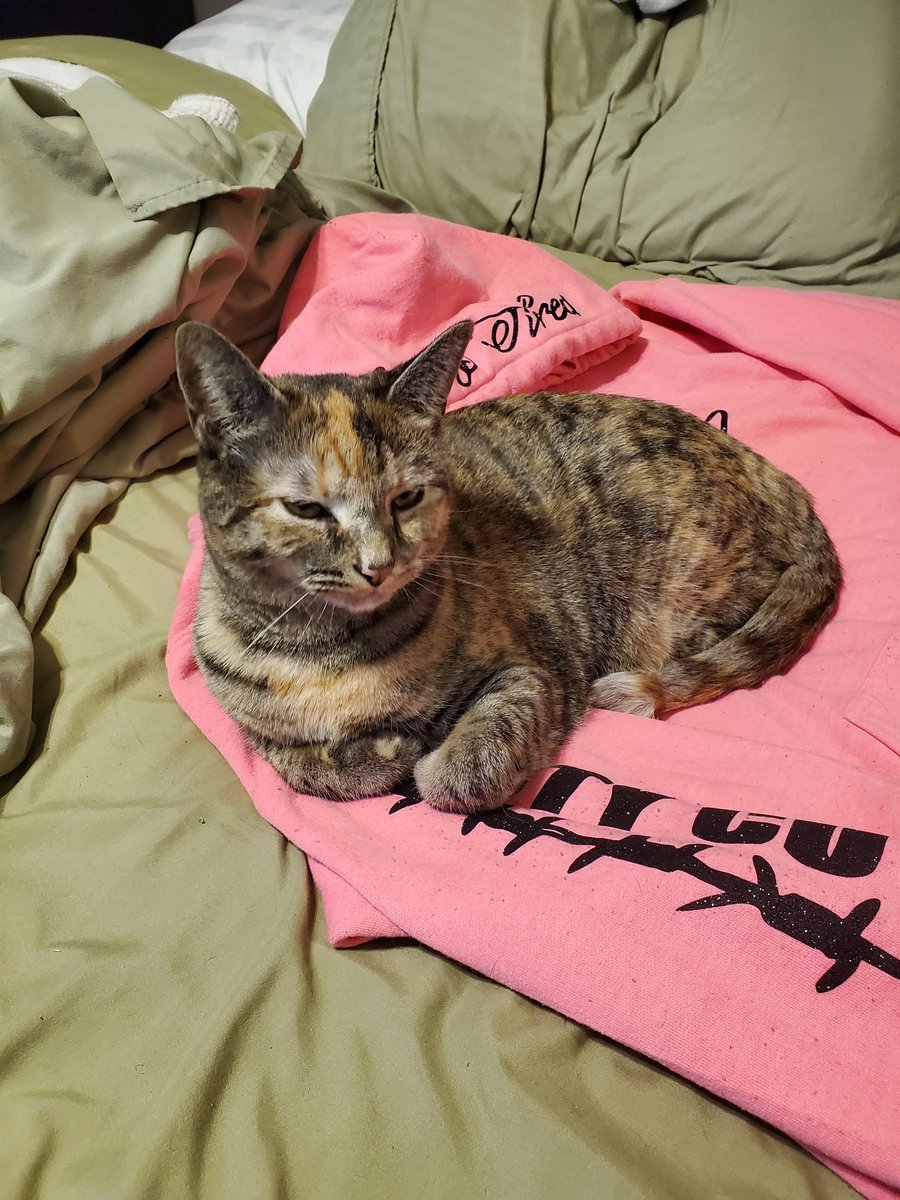 dssj04's tweet image. This sweet baby loves Posty too...Okay... We have Posty Kids...We need Fur Posty🤔 The Fur Nuggets want to be cool too😎
@PostyCrew @rriproarin