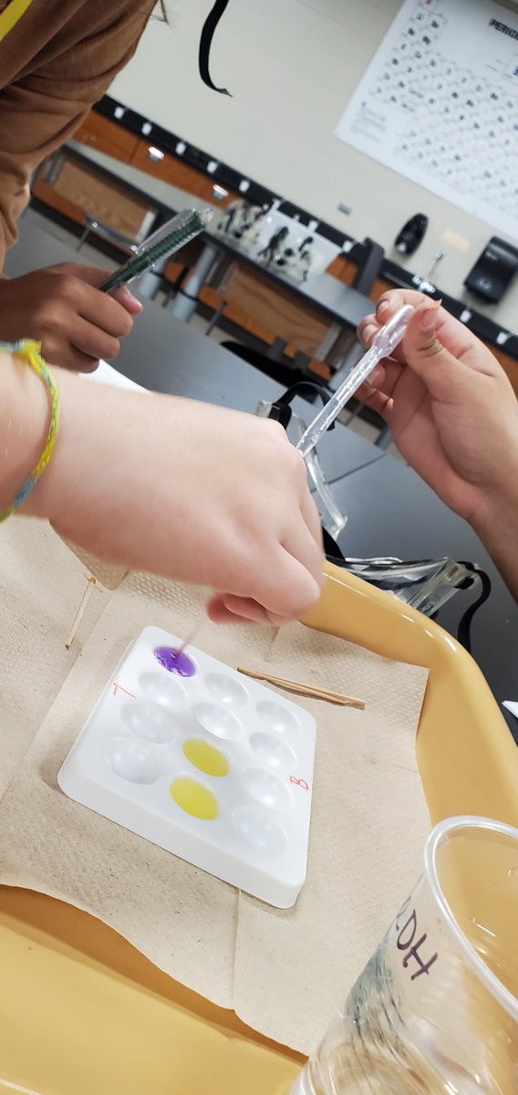 Groundwater pollution lab..my amazing little scientists! Loving 7th grade science!  #wearesalyards #becurious