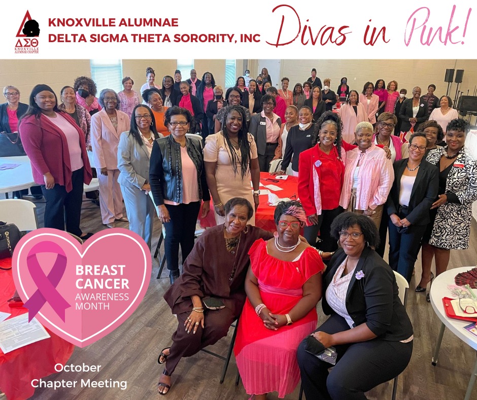 October is National Breast Cancer Awareness Month. KAC is committed to raising awareness and funds to help the 1 in 8 women diagnosed with this disease. We salute our KAC survivors (a few seated in the front row). #DeltasGoPink in October. #DST1913 #SRDST #Knoxville