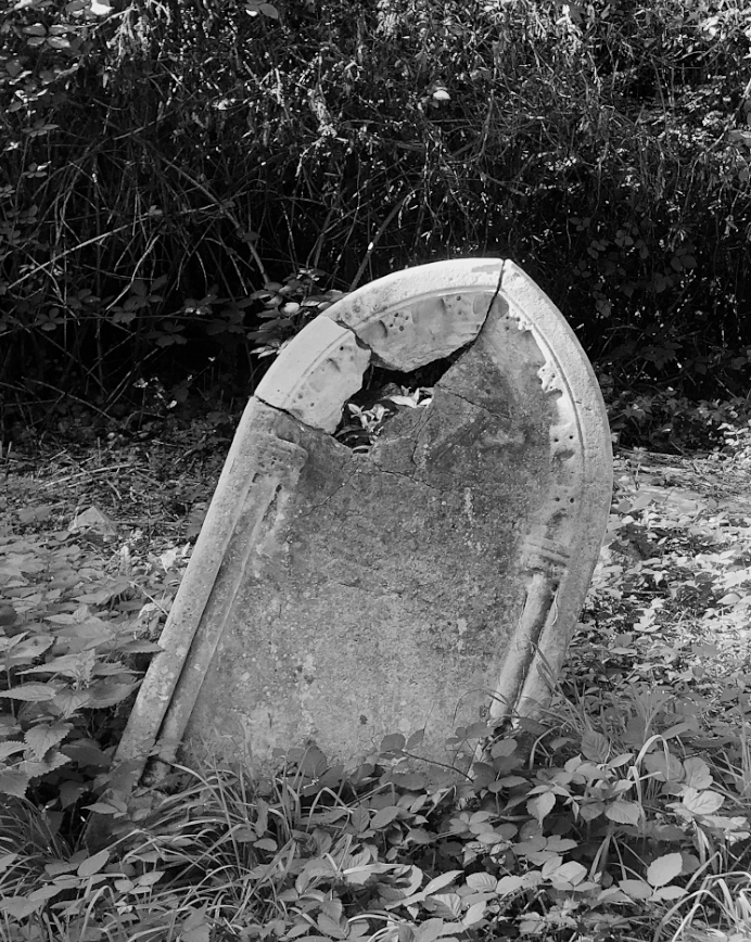 Hookland tweet media