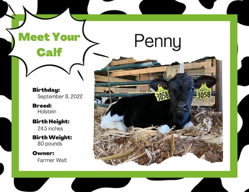 Karen Dreistadt tweet media