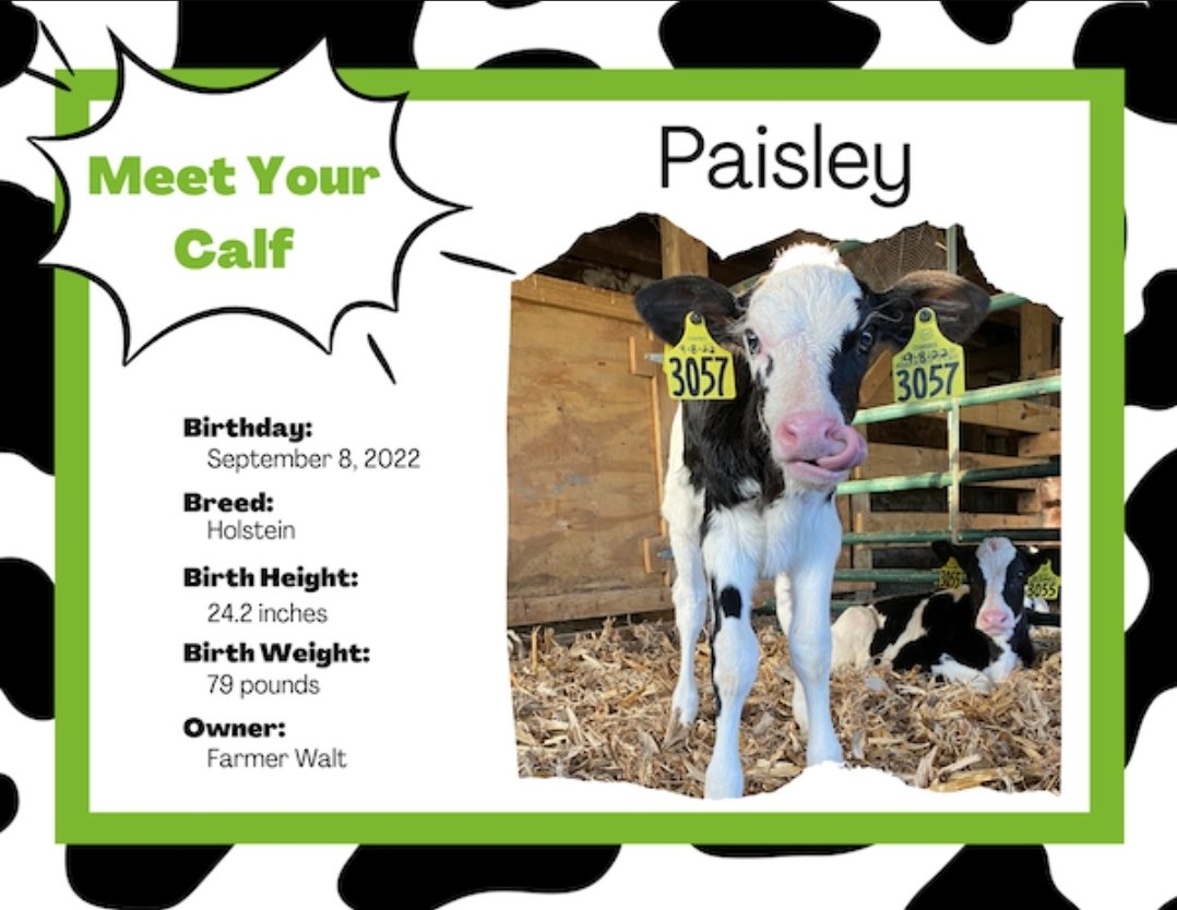 Karen Dreistadt tweet media