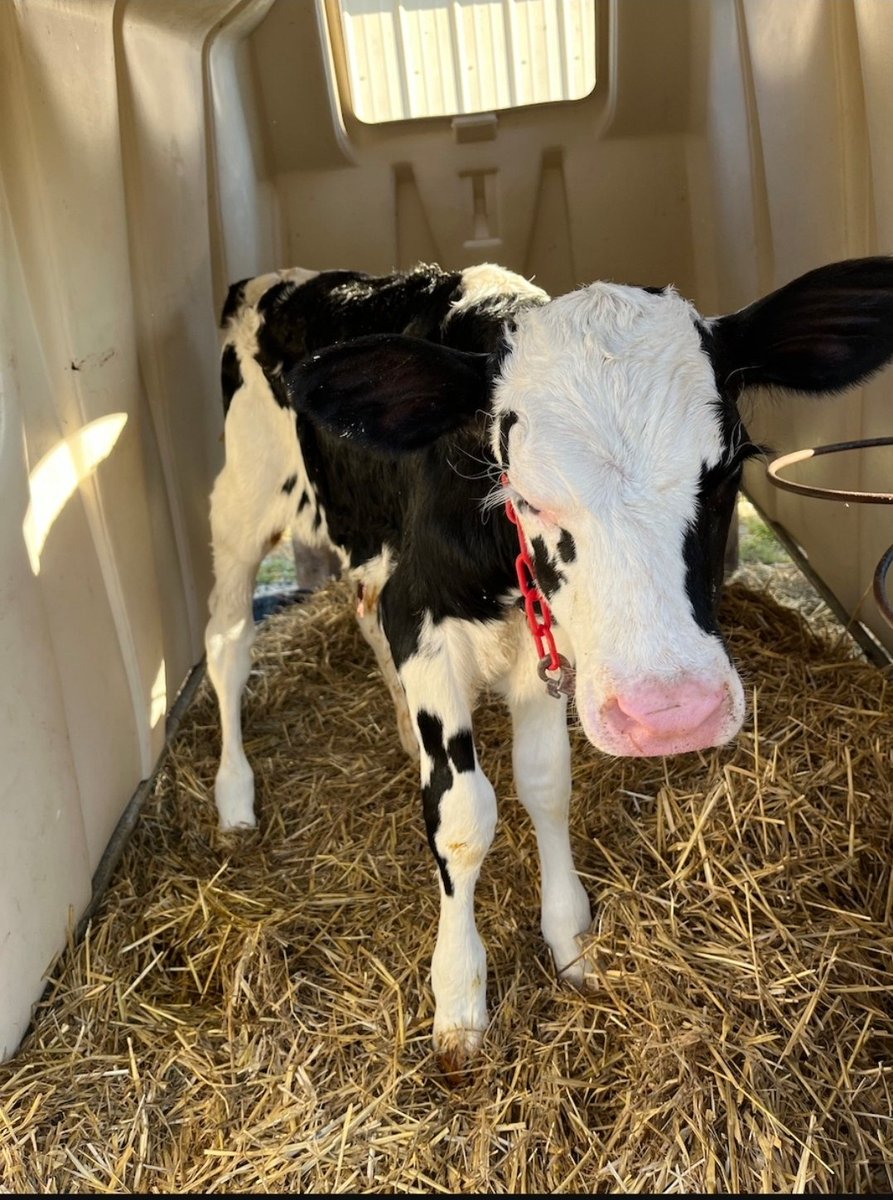 Karen Dreistadt tweet media