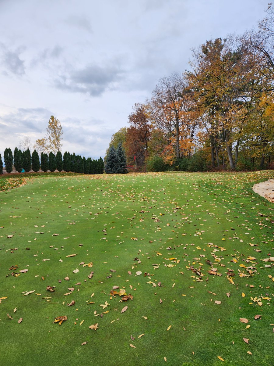 Rollerofrock's tweet photo. Just love fall!!!! #turf https://t.co/PbTSwGyg1y