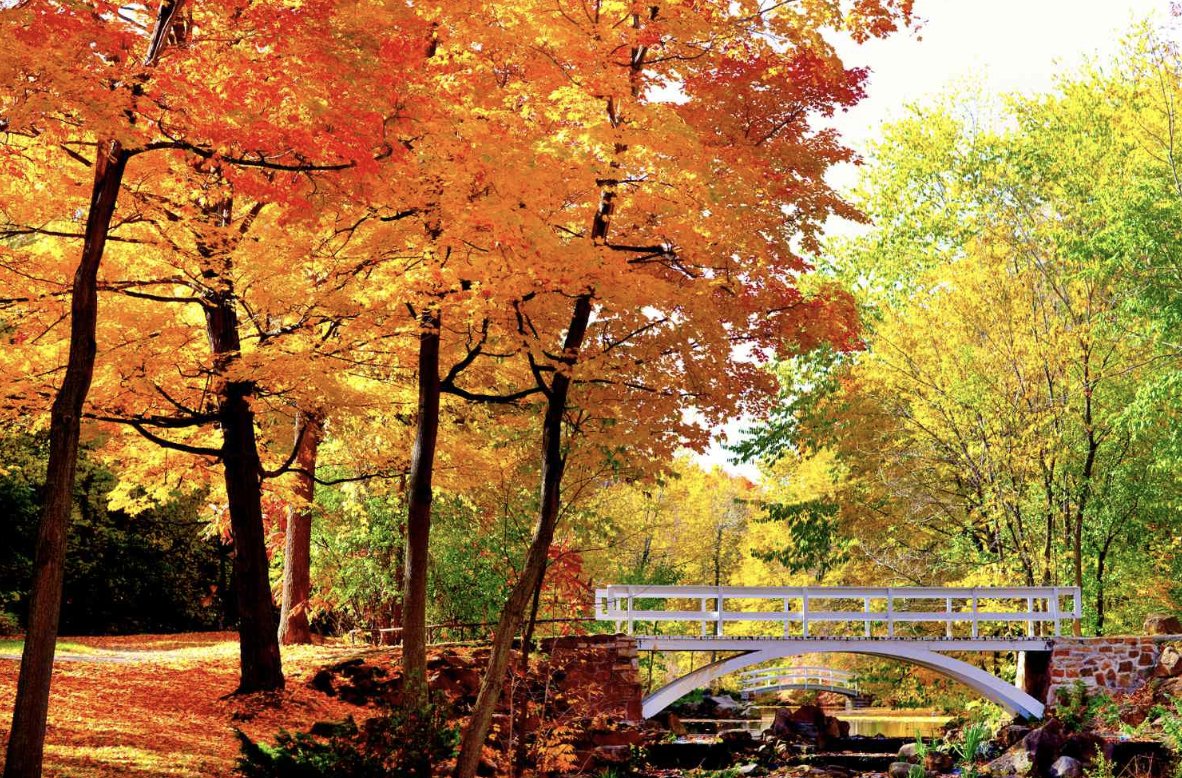 picturebookseh's tweet photo. #GIVEAWAY!
It's fall, and #IReadCanadian Day is coming up!
A good time to offer #picturebooks by🇨🇦creators, eh! Details on #PBE website.
To enter:
1. follow @picturebookseh
2. like + re-tweet this post (tagging = extra entry)
3. Winners announced on IRC Day, Nov. 2 at 9 am EST https://t.co/kKOXxm3cAb