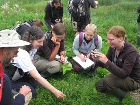 BSBIbotany's tweet image. We're hiring! 
Are you the person to administrate 2 leading botanical skills &amp;amp; training schemes?
We recently brought #Identiplant &amp;amp; #FISCs in-house &amp;amp; now we want to appoint a Training Coordinator.
Home based, 15 hrs pw.
More info &amp;amp; application form here:  
bsbi.org/vacancy-traini…