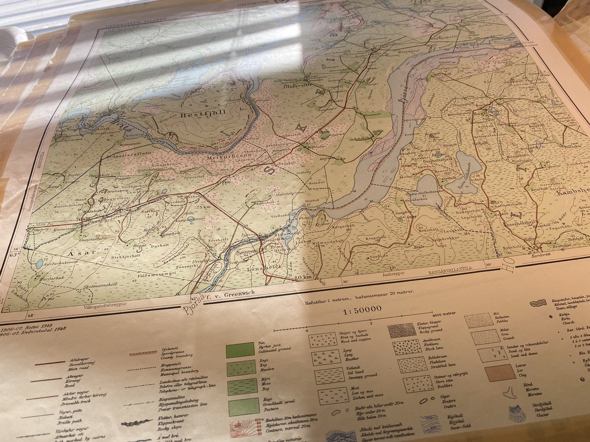 Dr Emily Lethbridge tweet media