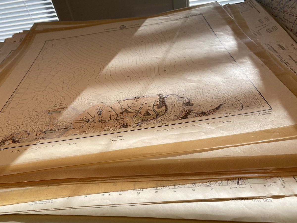 Dr Emily Lethbridge tweet media