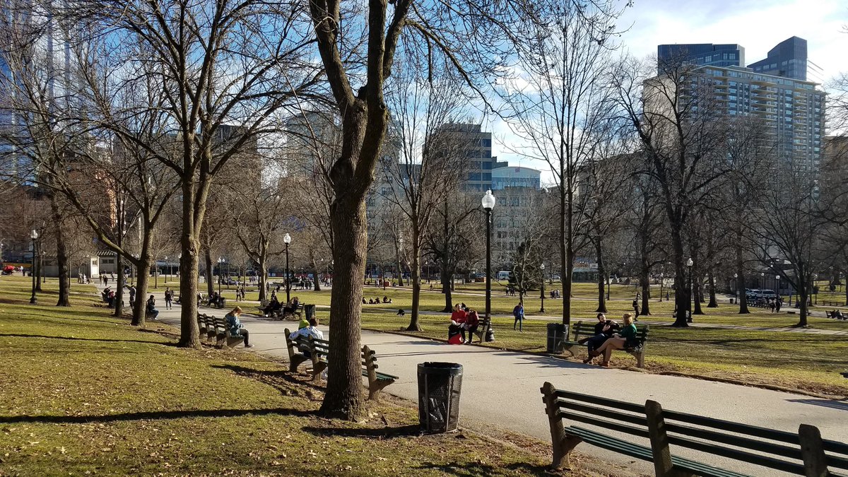 BostonCommonMP's tweet image. Our second Common-wide strategy is seating! A standard bench design, additional café tables, and new terraced seating will make the Common more accessible and comfortable for park goers.

Let us know what you think by leaving a comment at bostoncommonmasterplan.com by November 30th!