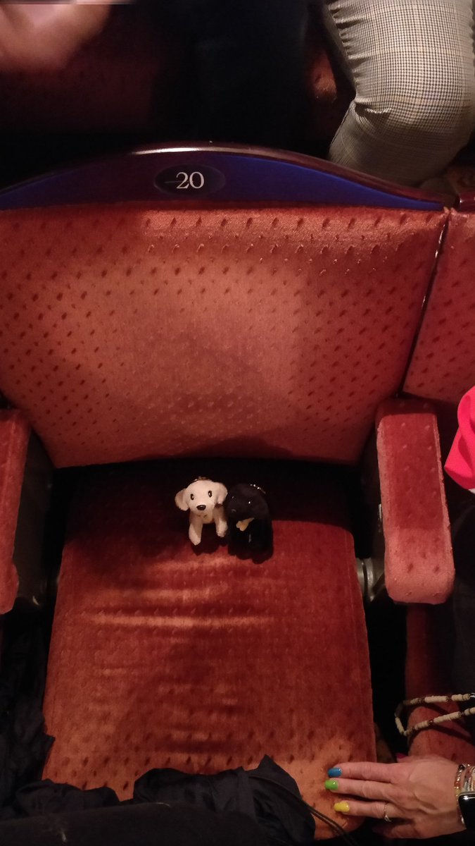 Mrs Franceschi (@sib_pissarro) on Twitter photo #challenge Mini Nini and Mini Shasha enjoyed a performance today: can you guess what they've seen?
Clue ⏩🏝️💌👰💁♂️💁🏻♂️💁🏼♂️💕💃🎤🇸🇪 <a href="/LyceePissarro/">Lycée Camille Pissarro</a> <a href="/ChienguideParis/">Chiens Guides Paris</a> <a href="/CelineCorbacho/">Señora Corbacho</a> <a href="/Mrs_Kerg/">Mrs Kerg</a> <a href="/TomCcx/">Thomas_Ccx</a> #challenge Mini Nini and Mini Shasha enjoyed a performance today: can you guess what they've seen?
Clue ⏩🏝️💌👰💁♂️💁🏻♂️💁🏼♂️💕💃🎤🇸🇪 <a href="/LyceePissarro/">Lycée Camille Pissarro</a> <a href="/ChienguideParis/">Chiens Guides Paris</a> <a href="/CelineCorbacho/">Señora Corbacho</a> <a href="/Mrs_Kerg/">Mrs Kerg</a> <a href="/TomCcx/">Thomas_Ccx</a>