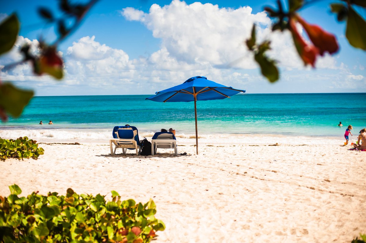 _UniqueLiving_'s tweet photo. How much time have you spent searching online for the perfect luxury property, villas or apartments to buy in Barbados? I’m guessing not enough. We delve into making it happen in paradise.

Click the link in the bio to read more. #barbados #weareunique #luxuryhomes https://t.co/GgXBqTKcRf
