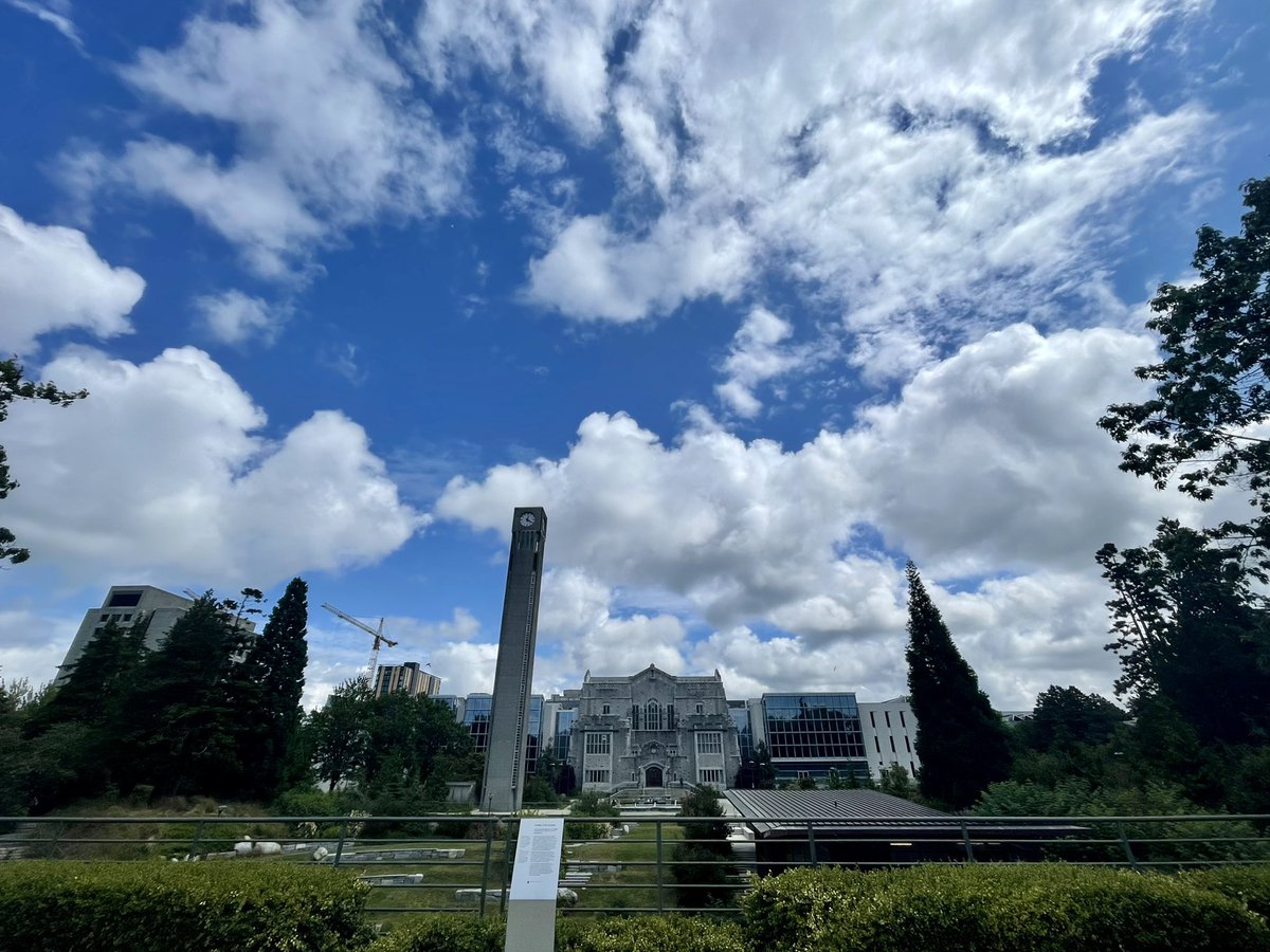 Carla Ferreira tweet media