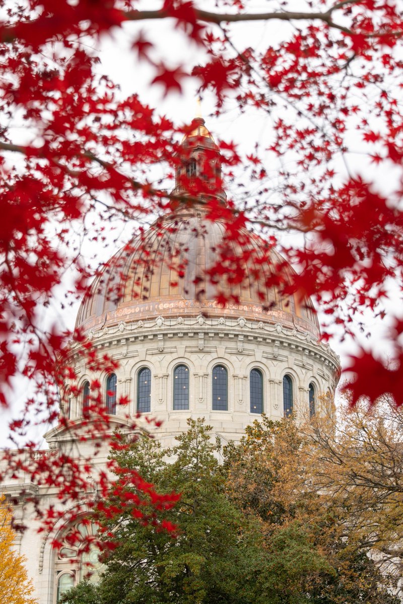 The first signs of fall are appearing on the Yard! 🍂

#GoNavy #Annapolis