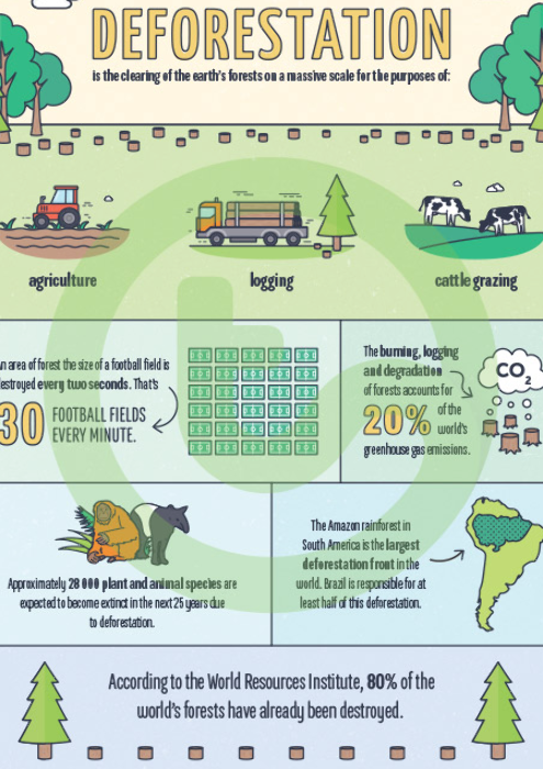 tedwards12347's tweet photo. “Deforestation is changing our climate, harming people and the natural world. We must, and can reverse this trend.” – Jane Goodall

#ENC1143
#cutdowndeforestation https://t.co/Q8aLlY8VyZ