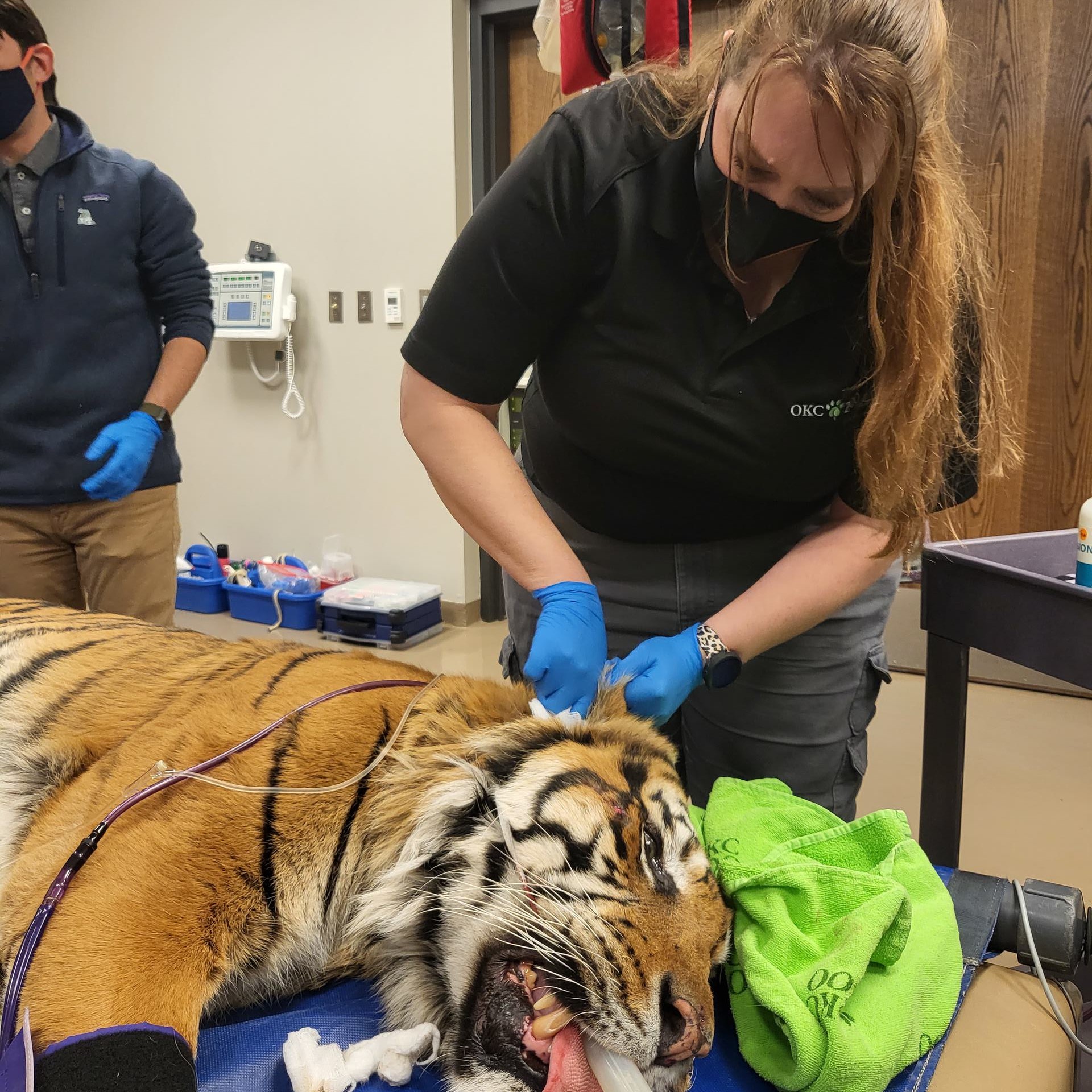 Oklahoma City Zoo and Botanical Garden on Twitter: Oklahoma City Zoo and Botanical Garden on Twitter: